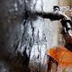 Water from the Nile flows from a pump in eastern Cairo, Egypt.